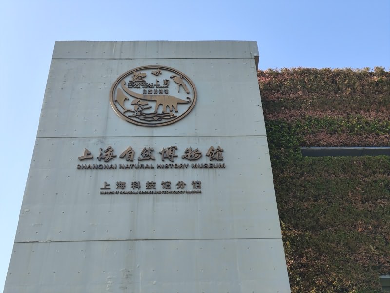 探秘上海自然博物馆