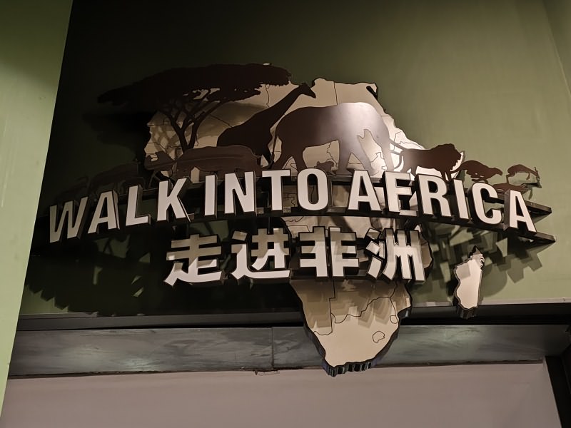 走进非洲