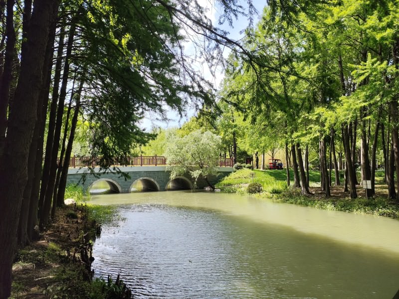 公园风景
