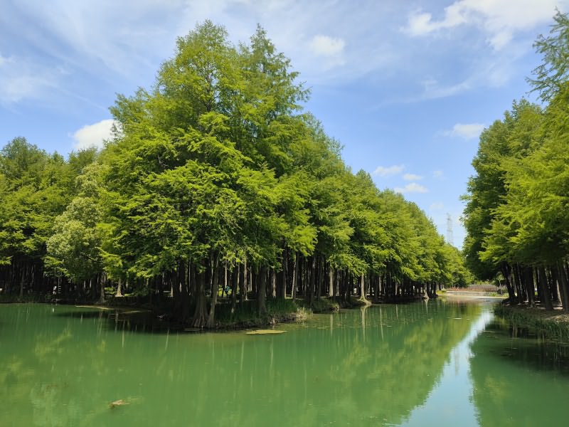公园风景