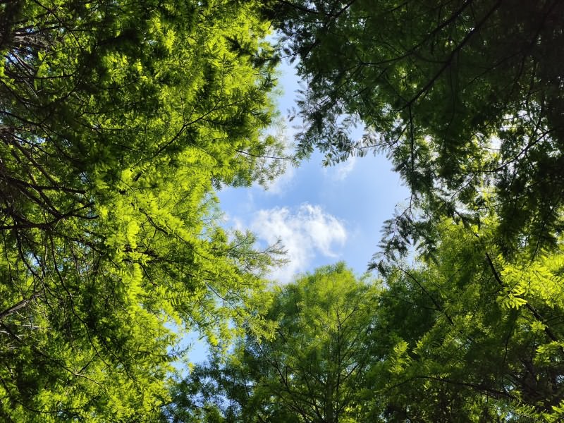 公园风景