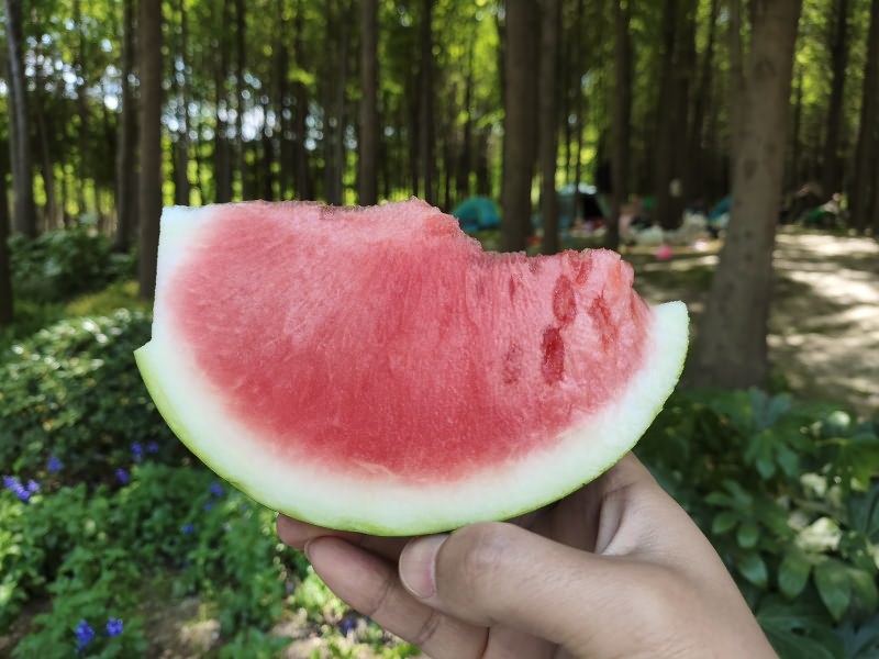 吃西瓜