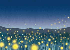 021-95511=骗局电话?